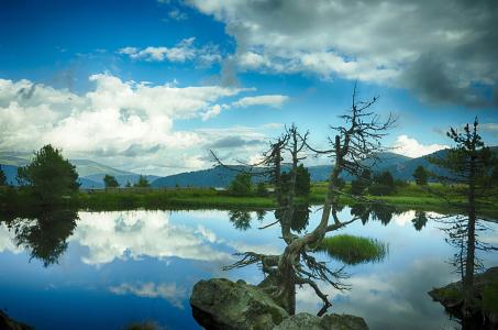 й½ϳƫ ȫůorȫ䣿